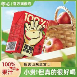 哪吒 100%纯果汁 苹果汁