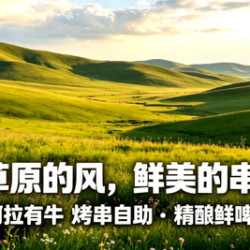 烤串自助单人餐