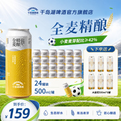 千岛湖啤酒 啤酒全麦精酿罐装酒500ML*24听精酿