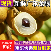 正宗广东龙眼当季新鲜水果桂圆冷链直达新鲜到家包邮 果园现摘现发 3斤带箱(净重2.5斤)