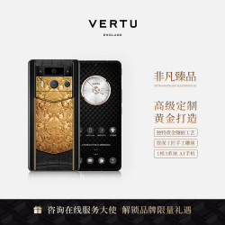 VERTU 官方奢品手机 METAVERTU高奢定制款全新旗舰 黑陶黑色-黄金雕花款玄铁黑鳄鱼皮 12+512GB