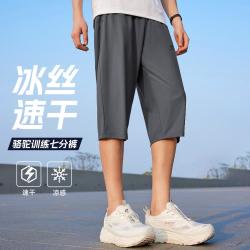 骆驼 男款速干运动裤2026