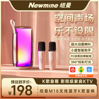 纽曼 自带声卡 无线蓝牙音响K歌麦克风套装+双话筒