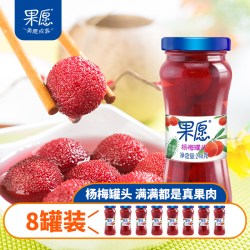 果愿248g*8瓶新鲜糖水杨梅水果罐