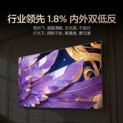 雷鸟 鹤6 Ultra 26系列 液晶电视 65R69A Ultra黑色