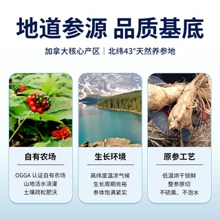 大山行 加拿大西洋参