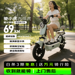 驰小虎 如意虎 长续航 电动自行车 48V20Ah电池