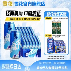 雪花 BEER/雪花 SNOWBEER 啤酒  2x24x500ml 包装 500ml