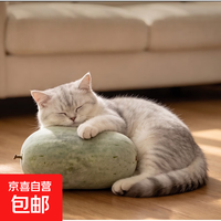 京东 河南小香冬瓜新鲜迷你水果白冬瓜小猫抱枕降温神器 带箱 9斤