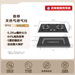 Leader 海尔出品统帅5.2KW天然气燃气灶家用双灶嵌入台式猛火灶具QIGL2C