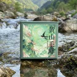 明前头采 群体种（炭焙）兰花香黄山毛峰100克福利