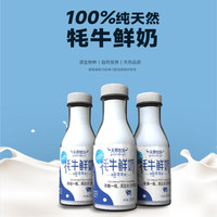 100%纯牦牛鲜奶低温巴氏杀菌鲜牦牛乳