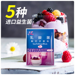 川秀 乳酸菌5菌酸奶益生菌发酵菌家用自制酸奶发酵粉10g/袋