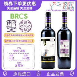 安第斯神特级珍藏赤霞珠葡萄酒ANDES SAGRADOS智利迈坡进口maipo