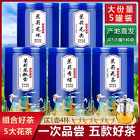 5款组合5罐装茉莉花茶叶茉莉龙珠茉莉花飘雪茉莉玉螺茉莉毛尖500g