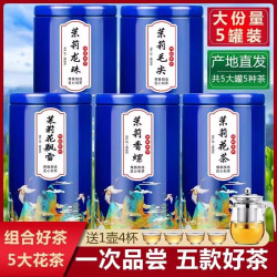 5款组合5罐装茉莉花茶叶茉莉龙珠茉莉花飘雪茉莉玉螺茉莉毛尖500g