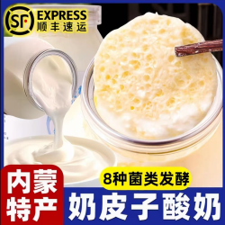 正宗奶皮子原味发酵益生菌奶皮酸奶酸牛奶奶皮子奶皮子酸奶0添加