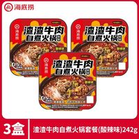 海底捞 渣渣牛肉自热火锅 242g 方便速食
