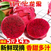移动端:探味君 海南金都一号红心火龙果5斤整箱大果新鲜应当季红肉密宝水果包邮3