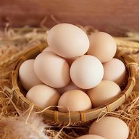 倚竹林 鸡蛋新鲜农场谷物鸡蛋50枚鲜鸡蛋草鸡蛋谷饲喂养笨鸡蛋初生蛋