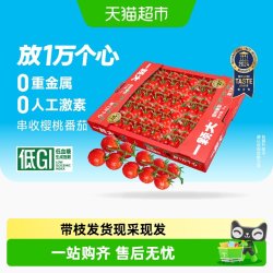 一颗大 玲珑串樱桃番茄新鲜水果生吃自然熟基地直发