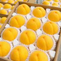 尹福记 特大果 山东 蒙阴黄金蜜桃 大黄桃 2.5斤装 4-7个