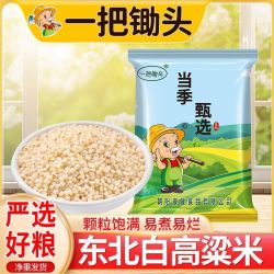 一把锄头5斤高粱米净重正宗东北朝阳农家6a白高粱米脱壳去皮500g