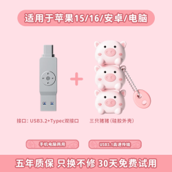 移速 U盘 大容量 双接口