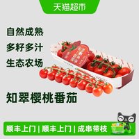 顺丰上门串收樱桃小番茄自然熟生吃小西红柿新鲜水果现摘