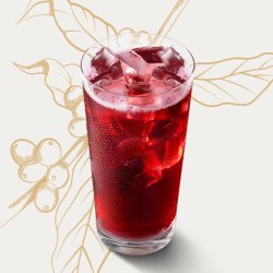星巴克 冰摇红莓黑加仑茶 超大杯 592ml
