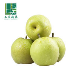 上虞尚品 翠冠梨9个装 带箱2.5kg
