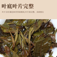 桑植白茶 2024新茶寿眉饼 白茶