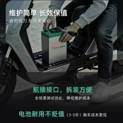 新能安 电动车锂电池60V58Ah 宁德时代控股 雅迪爱玛台铃电池 赠8A充电器
