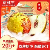 京鲜生 陕西大荔冬枣 生鲜水果 净重3斤 单果20g以上 源头直发