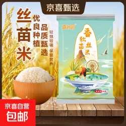 京东 当季新米软香丝苗米晚稻籼米长粒香大米猫牙米煲仔饭米晚稻米 丝苗米500g