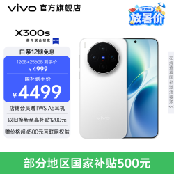vivo X300s 蔡司2亿超级主摄 蔡司APO超级长焦 蓝图影像芯片V3+ 7100mAh蓝海电池  银白 12GB+256GB