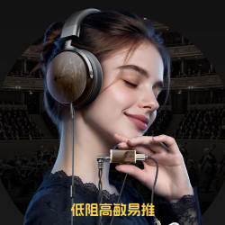 雪漫天 FiiO NATURE 头戴式有线耳机 金檀黑