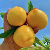 京鲜生 山西黄金油桃 净重4.5斤 单果100g+