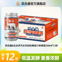 双合盛 北冰洋 桔汁风味啤酒 原麦汁10°P 酒精度≥3.7%