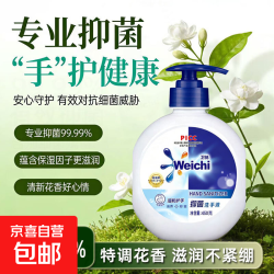 抑菌香氛洗手液倍护滋润保湿持久留香母婴 450克*1瓶