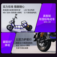 九号 Fz5 110 新国标电动自行车