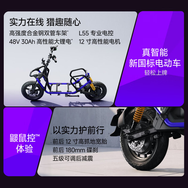 九号 Fz5 110 新国标电动自行车