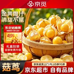 京觅 东北姑娘果 净重2斤装