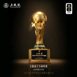 五粮液 美加墨世界杯 国际足联官方授权 大力神杯酒 52度 500ml 单瓶