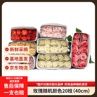 京东鲜花 玫瑰花20枝随机1色或多色教师节送花礼物山东基地长40cm源头直发
