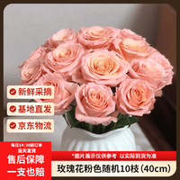 京东鲜花 玫瑰花粉色随机10枝长度40cm送闺蜜家庭瓶插水养山东基地源头直发