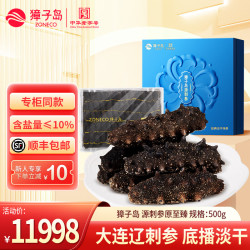 獐子岛 SEAFOOD）獐子岛海参 大连淡干辽刺参 海参礼盒 全国专柜款 母亲节 500g淡干 （60-100头）