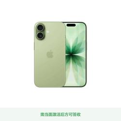 Apple iPhone 17 5G 手机