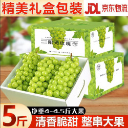 玖原农珍 四川阳光玫瑰葡萄含箱5斤净果4斤单果8-12g 大颗晴王新鲜水果