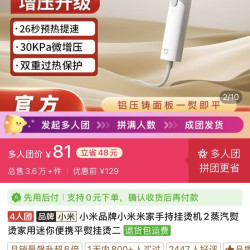 小米 米家手持挂烫机2